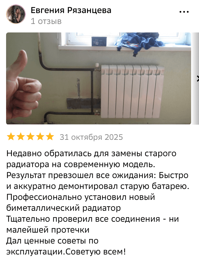 Отзыв Евгения Рязанцева — скриншот Яндекс.Карт