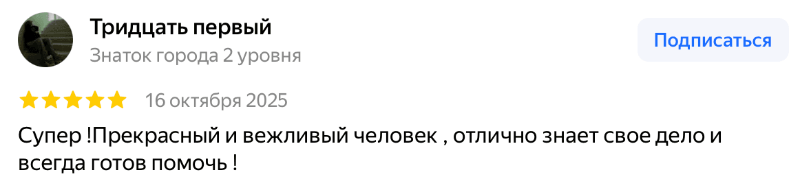 Отзыв Тридцать первый — скриншот Яндекс.Карт